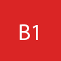 b1